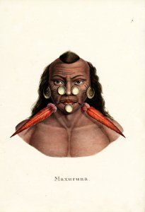 ペルーインディアン、1824年 作： Karl Joseph Brodtmann